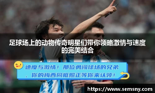 足球场上的动物传奇明星们带你领略激情与速度的完美结合